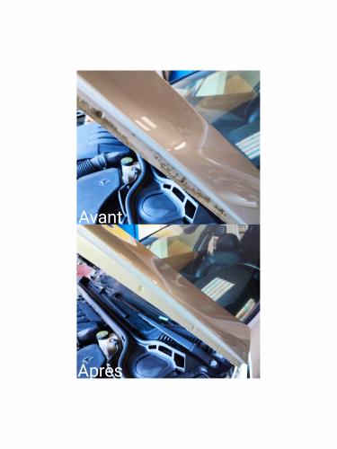 Capot ( Intérieur )